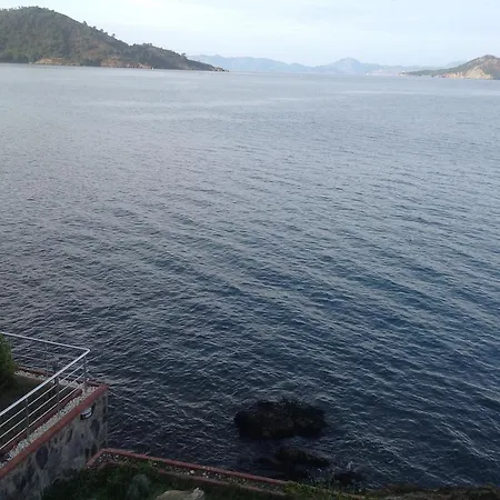 Arikan Nyaraló